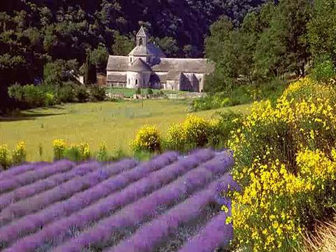 http://www.vivalditravel.hu/user_images/33/provence_festoi_taja_01.jpg